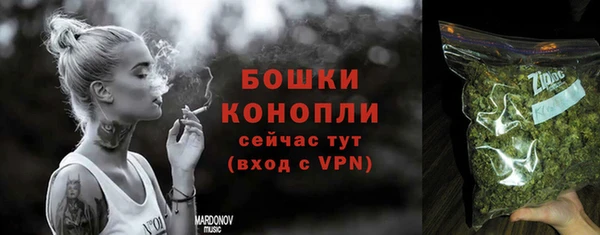 2c-b Богородицк
