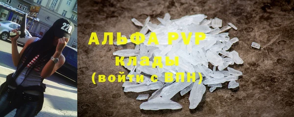 apvp Белокуриха