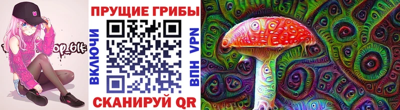 что такое   Верещагино  Галлюциногенные грибы MAGIC MUSHROOMS 